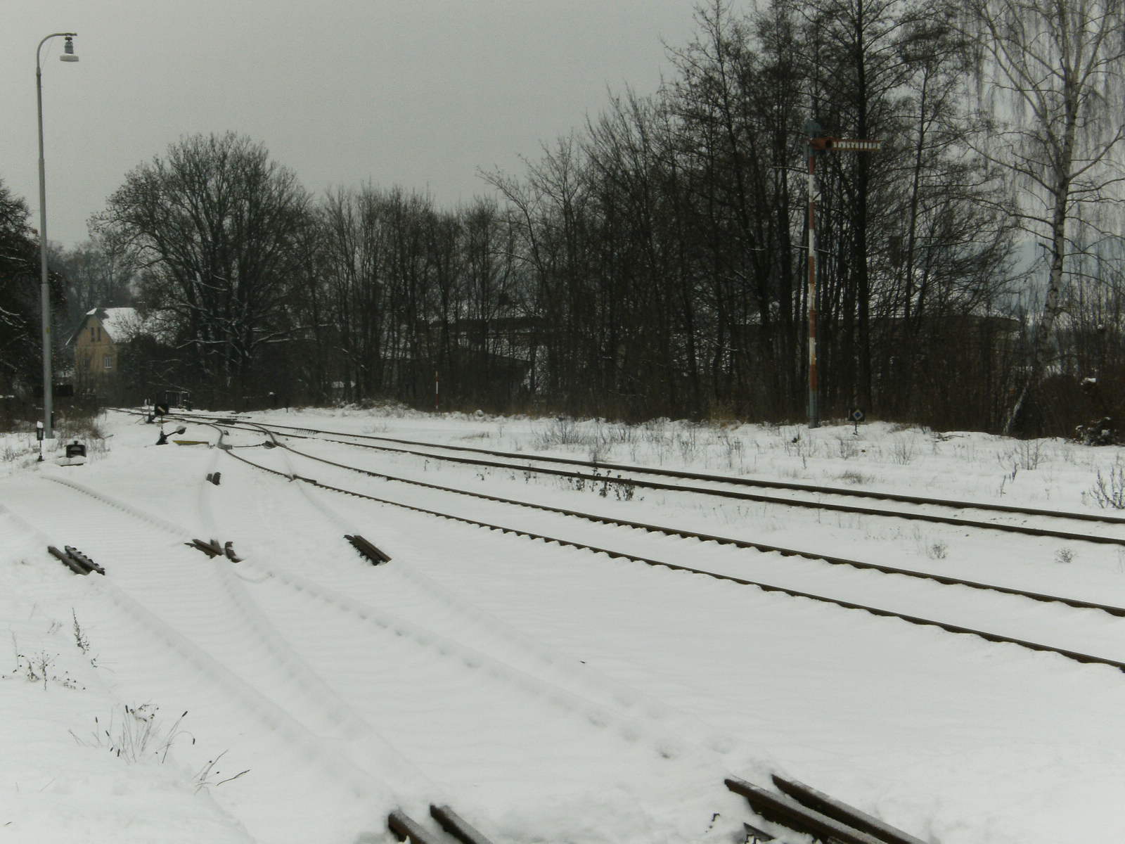 SANY0070.JPG