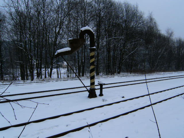 SANY0255.JPG