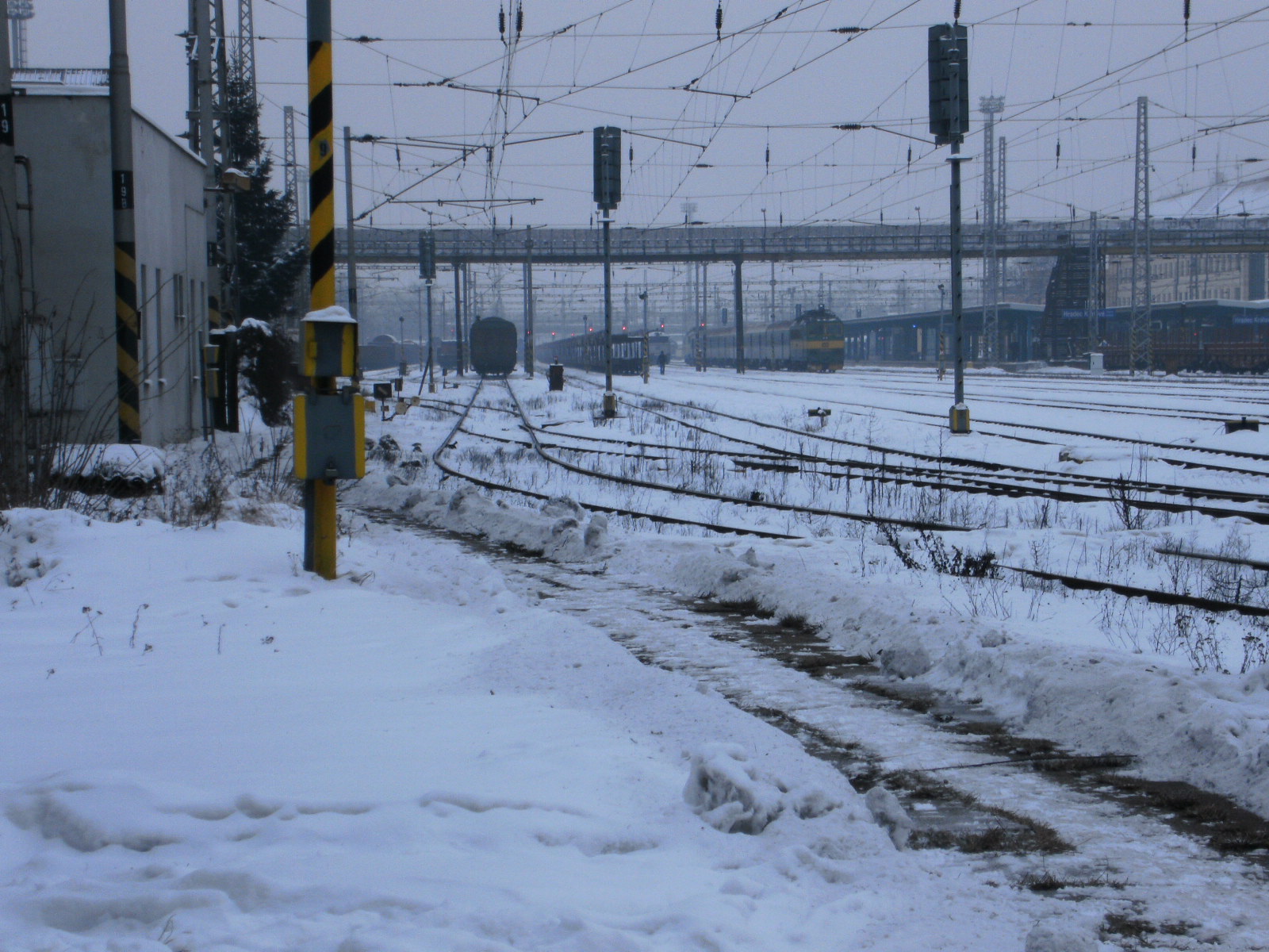SANY0382.JPG