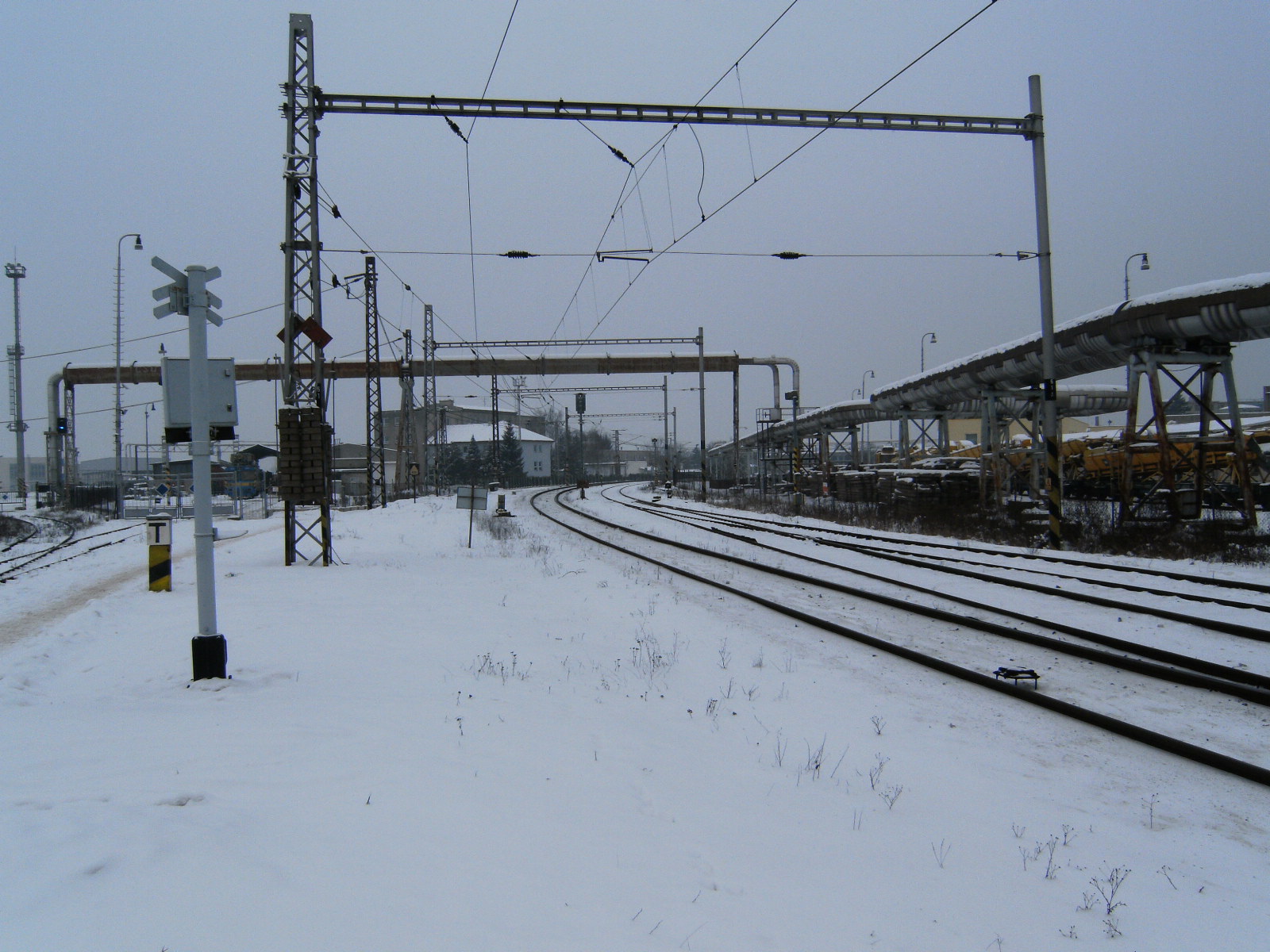SANY0393.JPG