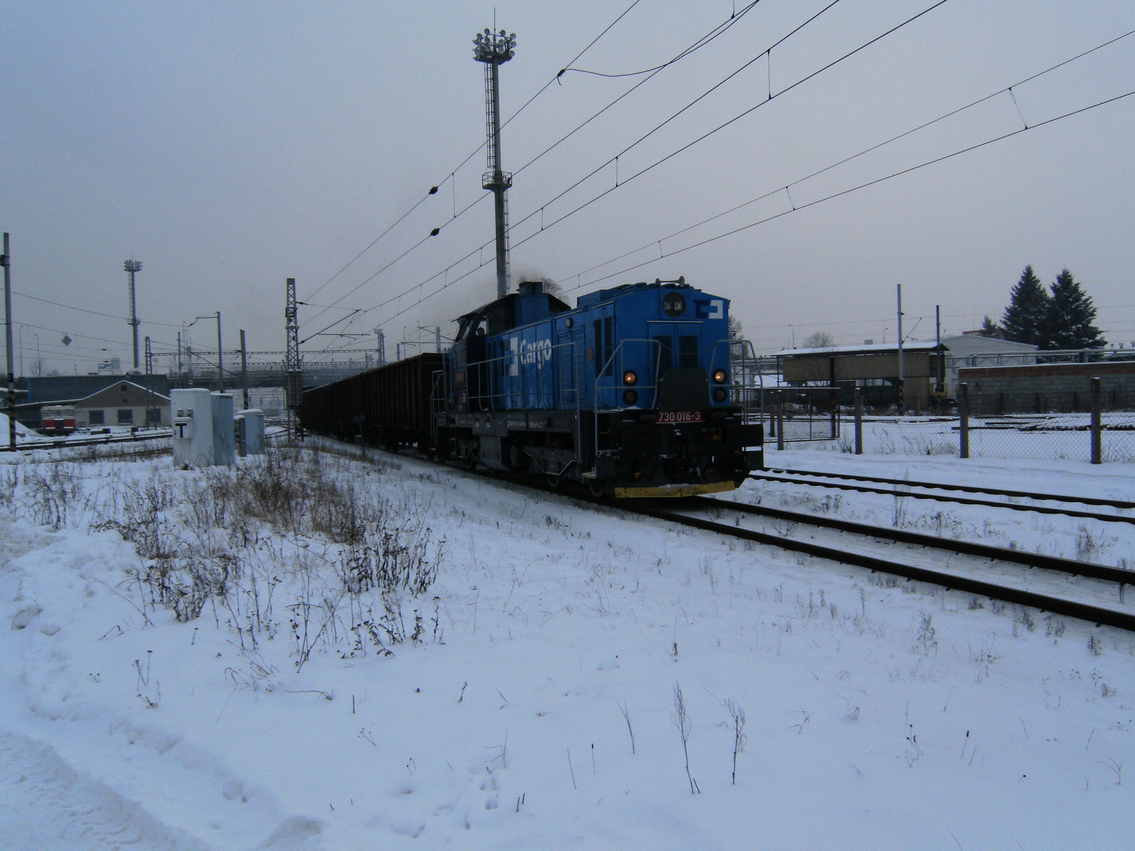 SANY0396.JPG