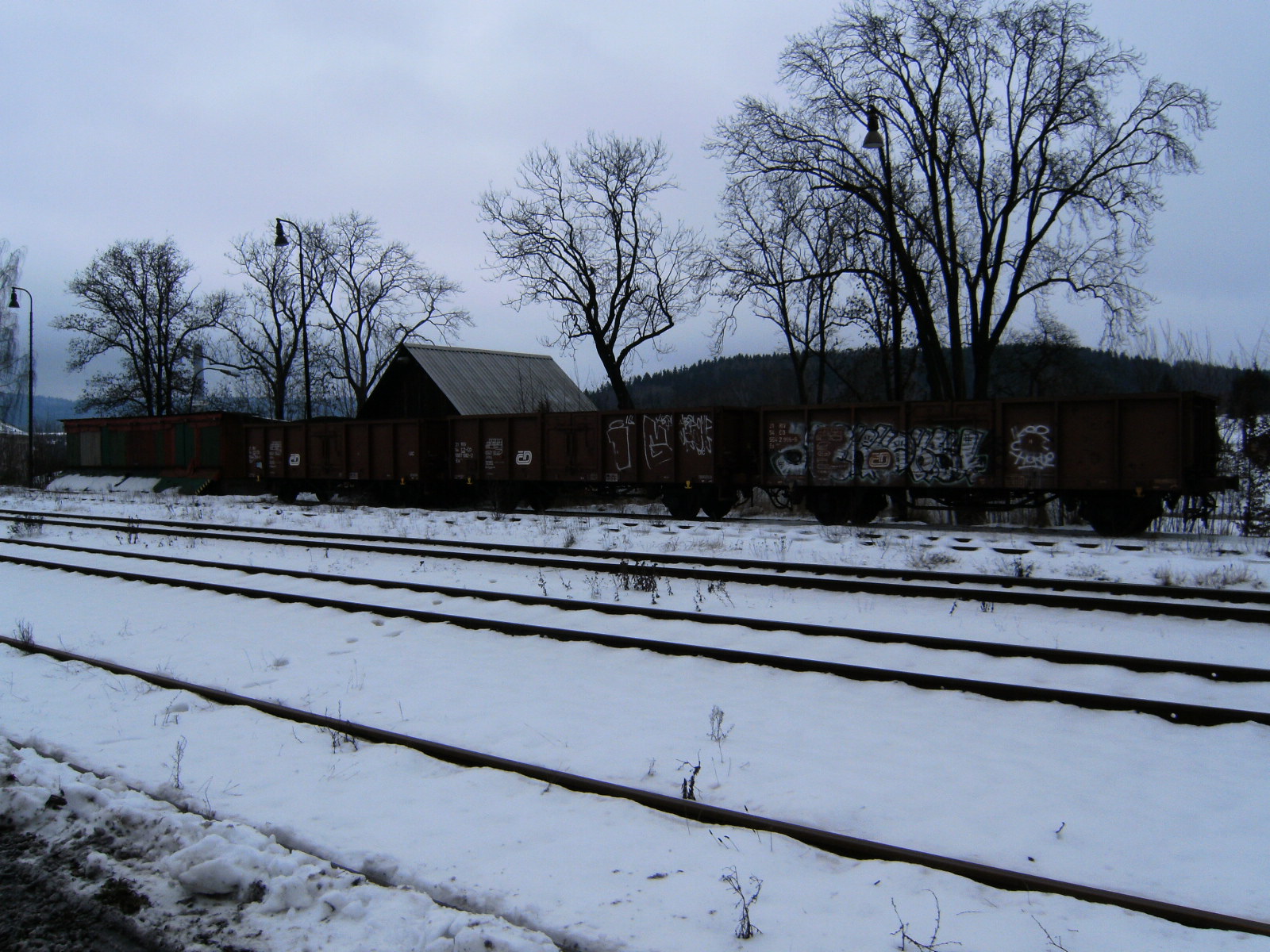 SANY0496.JPG